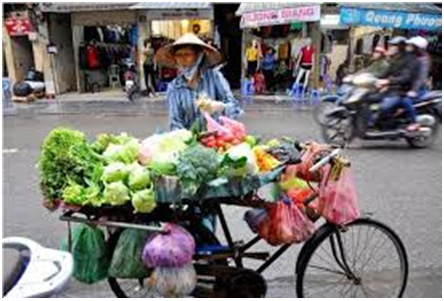 Image result for xe dap chở hàng