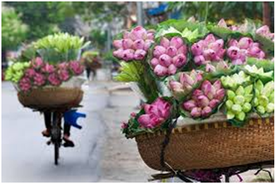 Image result for xe dap chở hàng